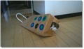 Un chat tripe avec un sac !